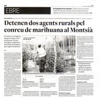dentinguts_Plantacions_marihuana_Ulldecona_diarit_23_08_2013.jpg